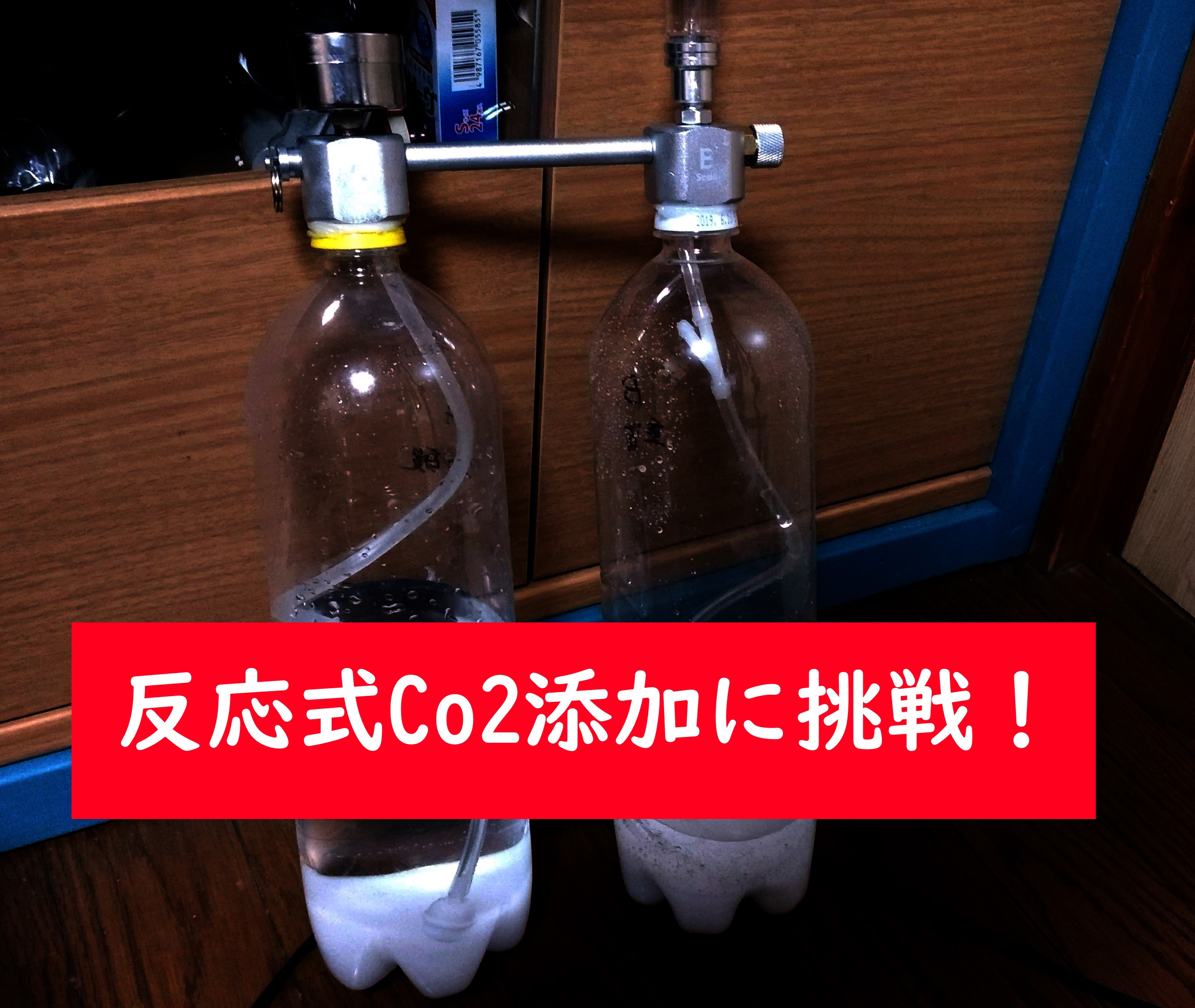 水槽に科学を使ってco2添加する アジト夢工房ブログ